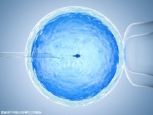 李晴阳院长